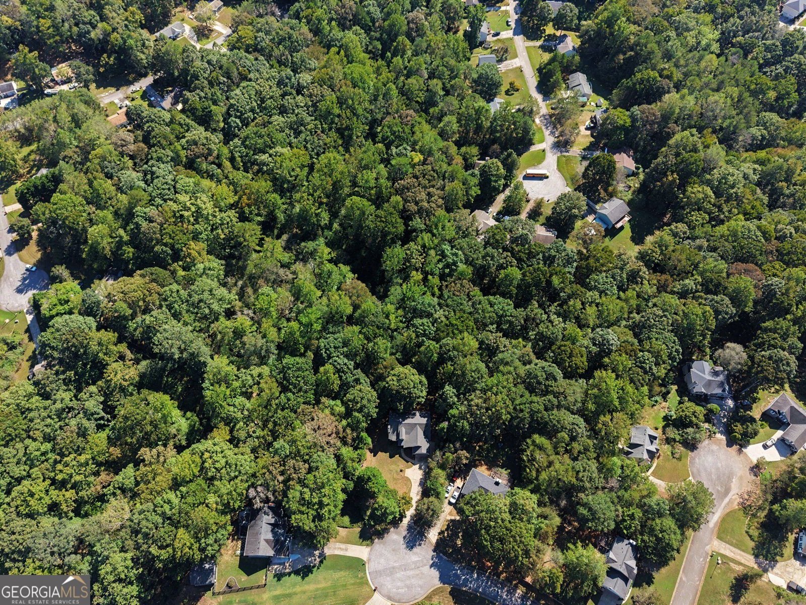 6338 Clearbrook Drive Flowery Branch - Photo 40