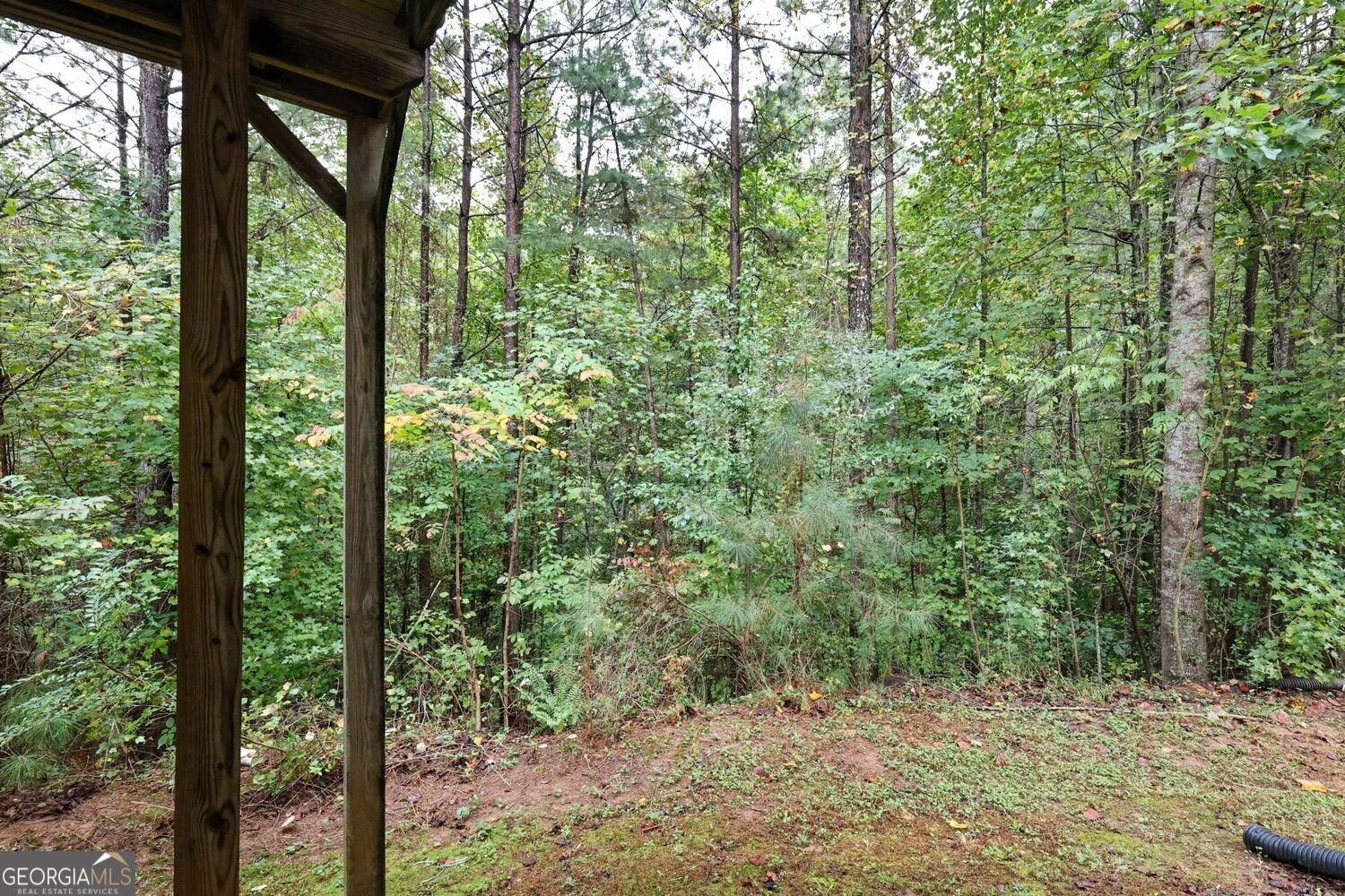 3745 Crowned Eagle Way Douglasville - Photo 49