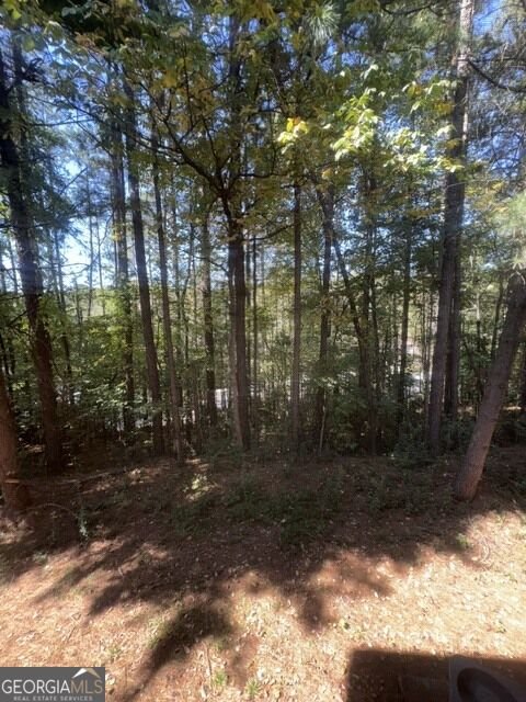 322 Seasons Parkway Norcross - Photo 20