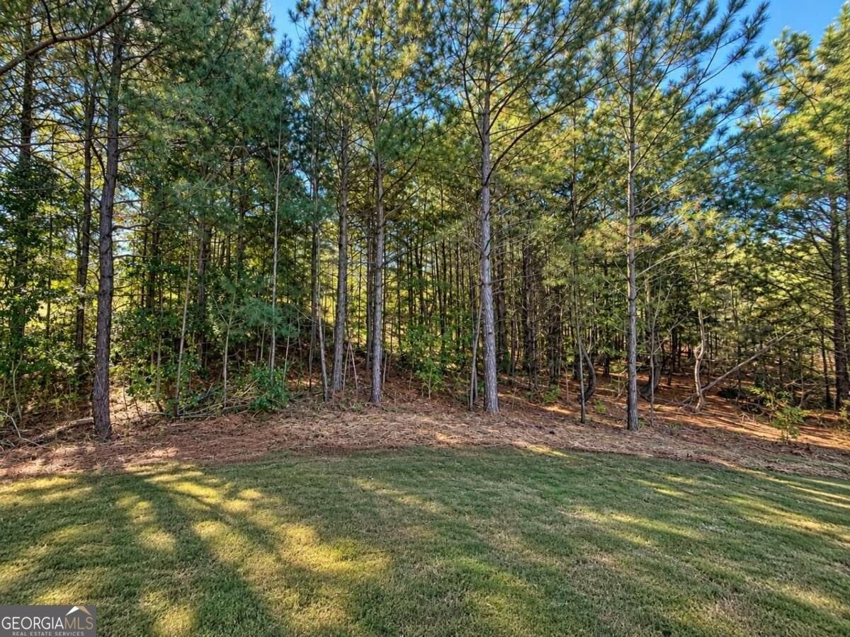 216 Magnolia Villas Drive Cornelia - Photo 42