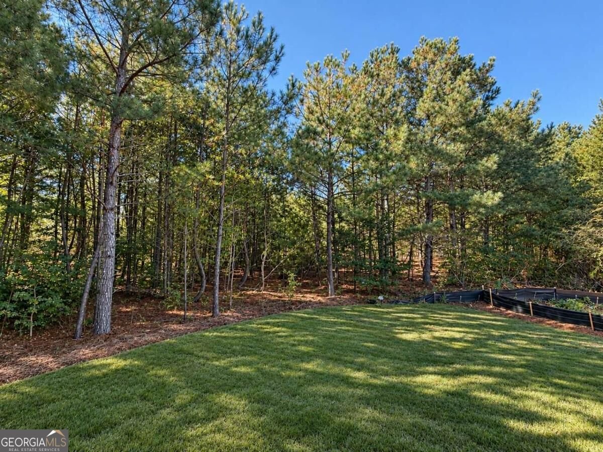 216 Magnolia Villas Drive Cornelia - Photo 43