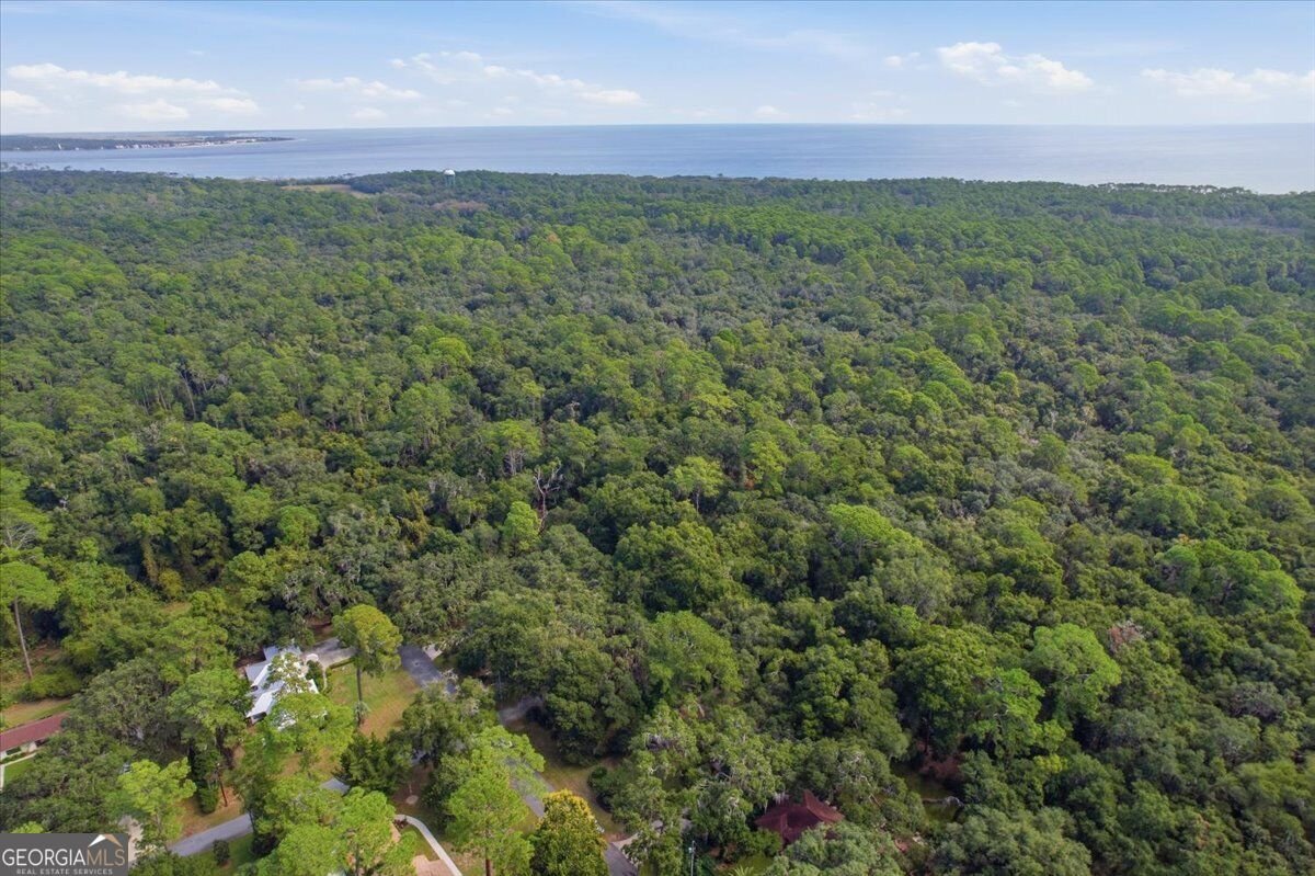 651 Old Plantation Road Jekyll Island - Photo 10