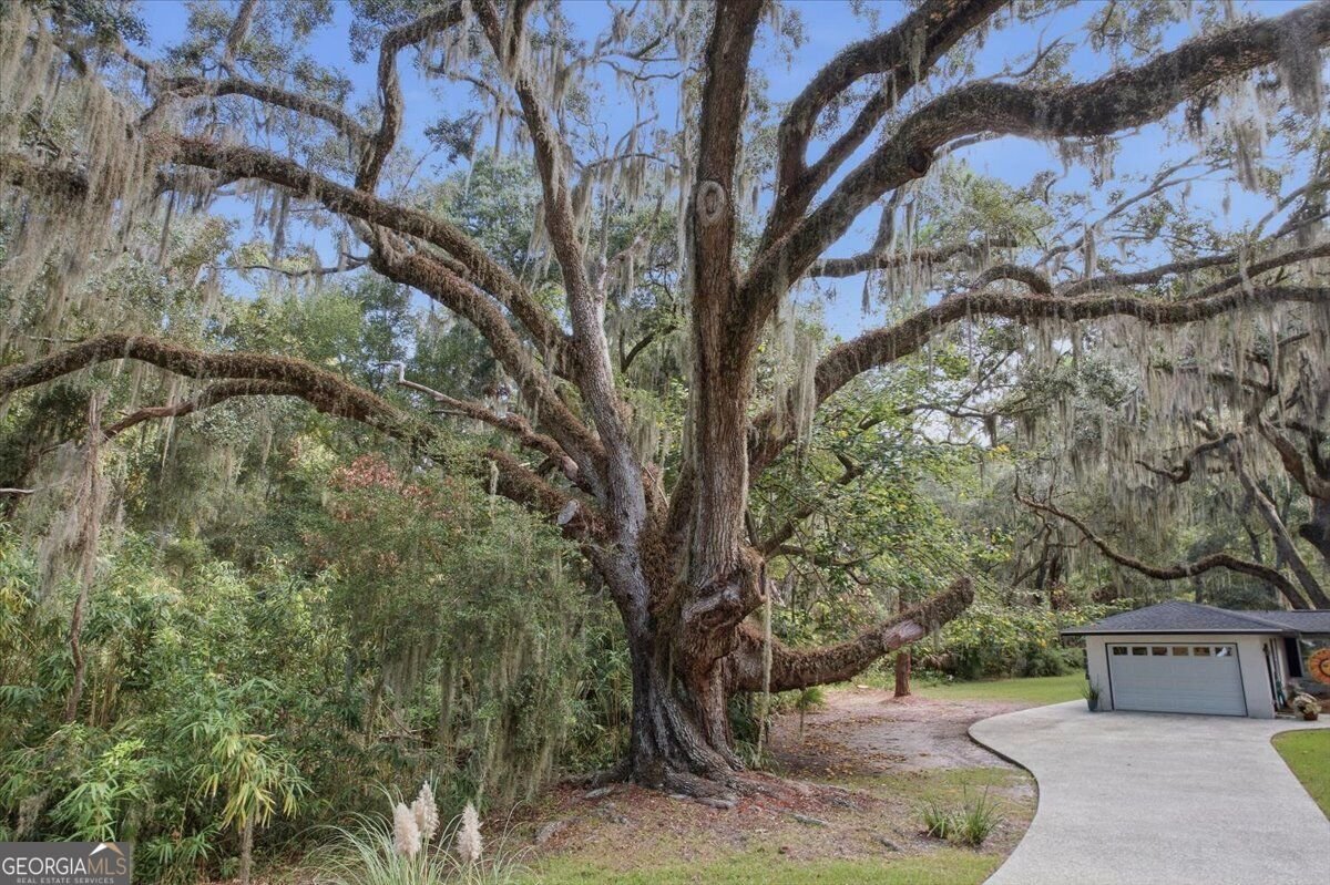651 Old Plantation Road Jekyll Island - Photo 6