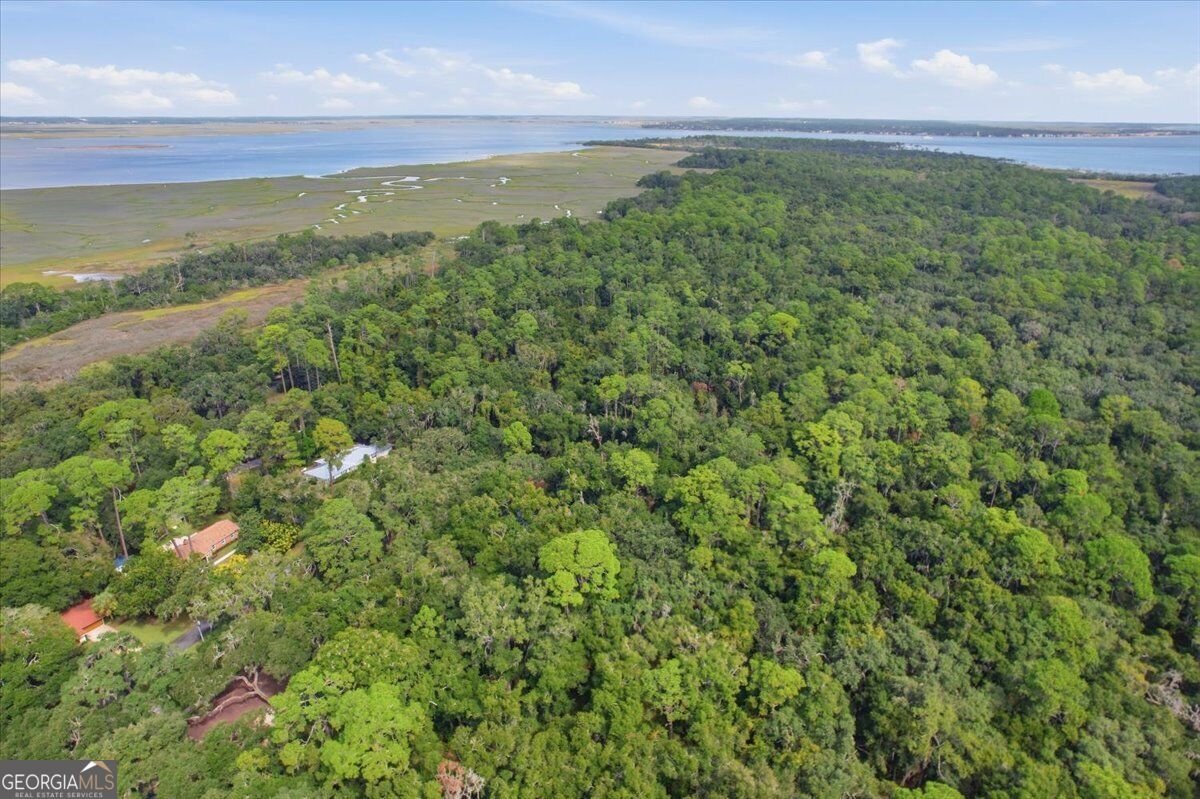651 Old Plantation Road Jekyll Island - Photo 7