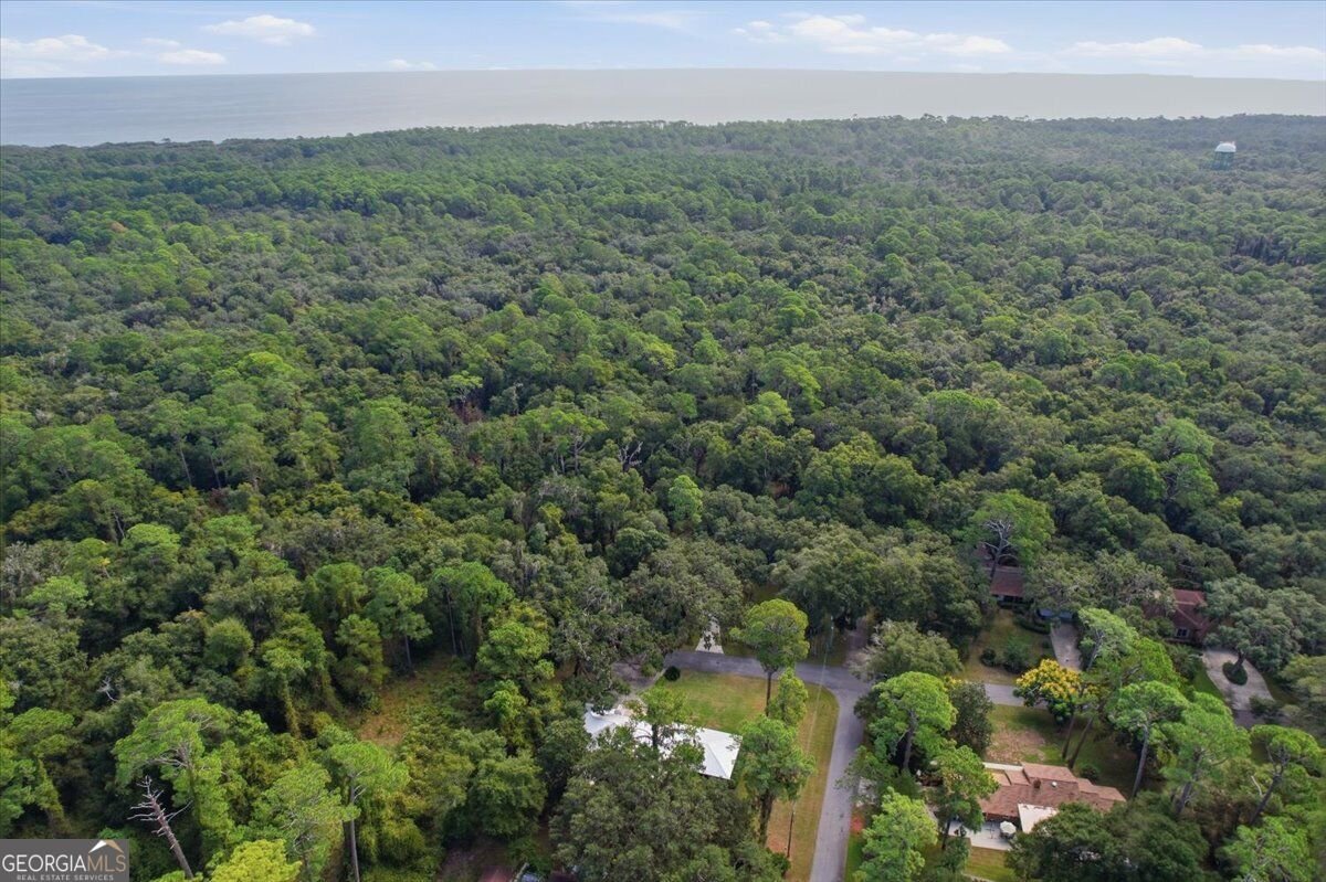 651 Old Plantation Road Jekyll Island - Photo 8