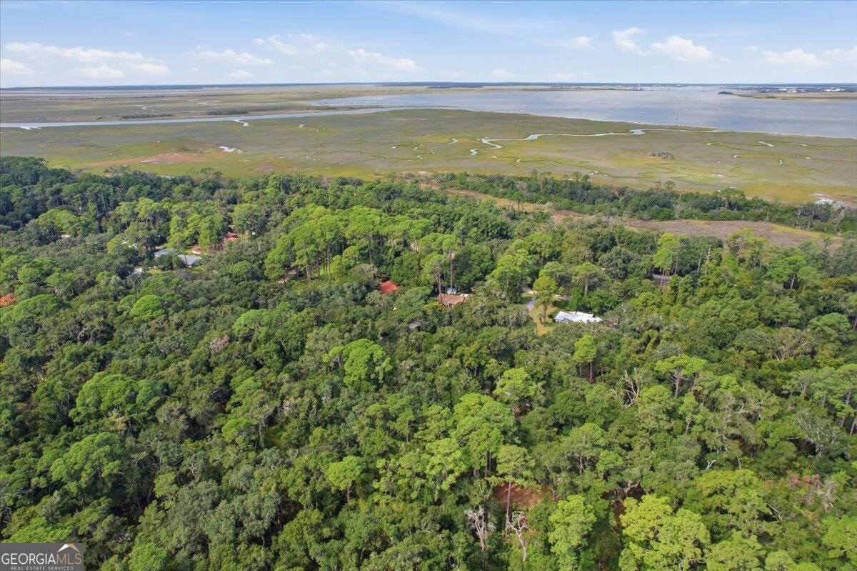 651 Old Plantation Road Jekyll Island - Photo 9