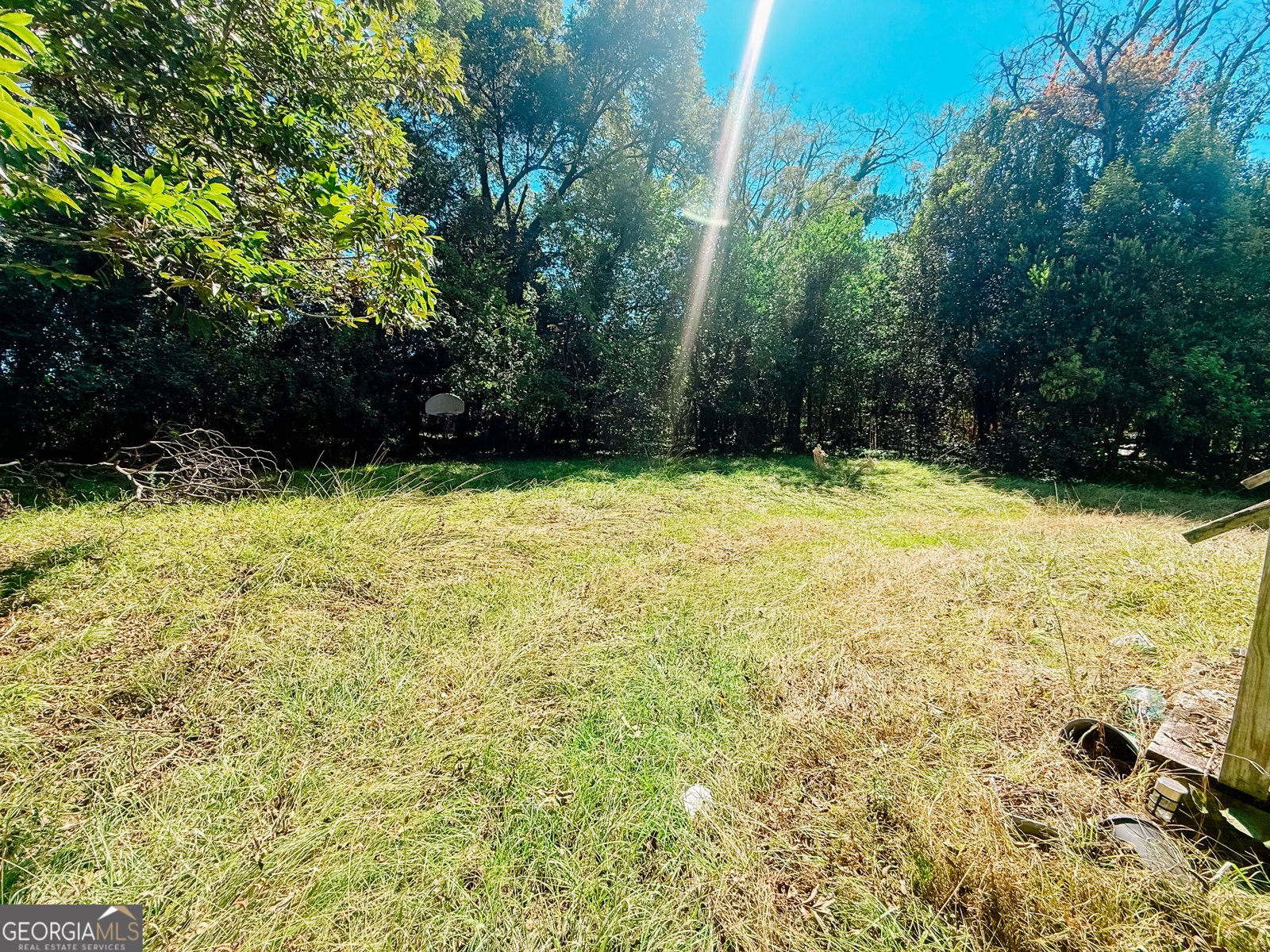 515 Fort Hill Street Macon - Photo 12