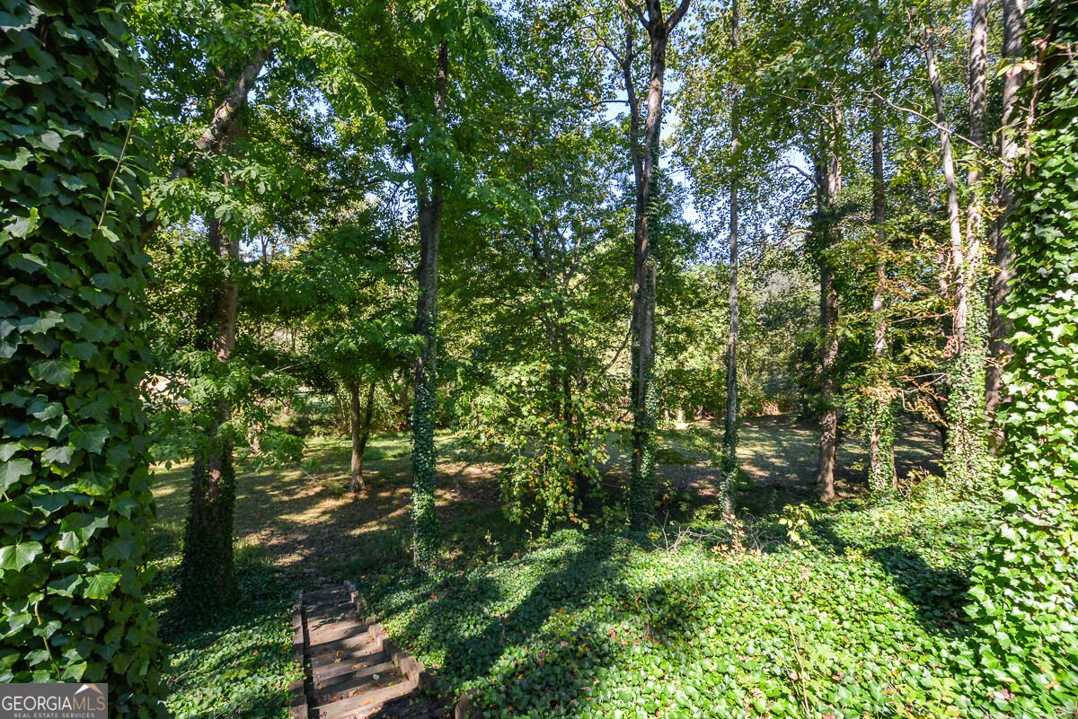 1015 Avery Creek Drive Woodstock - Photo 46