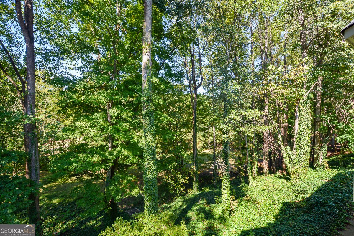 1015 Avery Creek Drive Woodstock - Photo 47