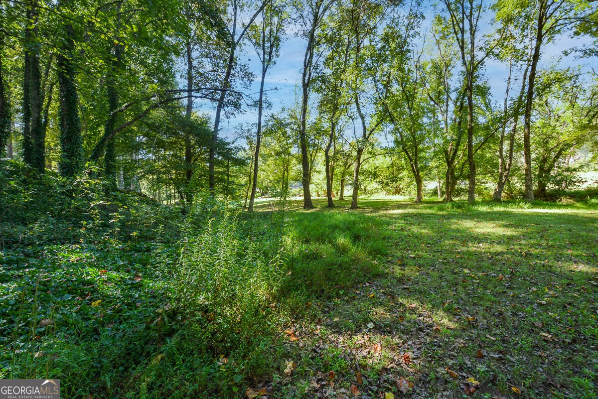 1015 Avery Creek Drive Woodstock - Photo 48