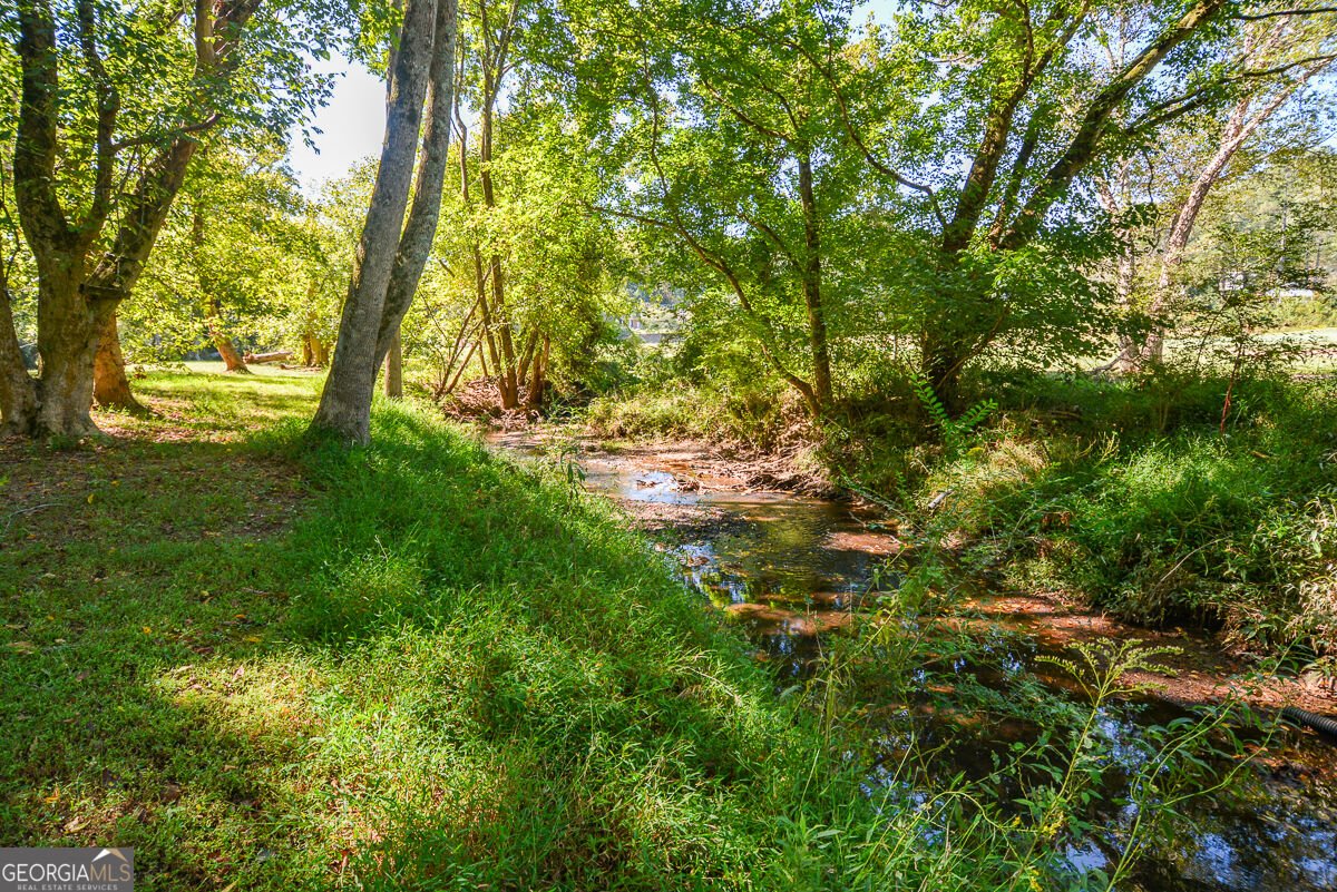 1015 Avery Creek Drive Woodstock - Photo 49