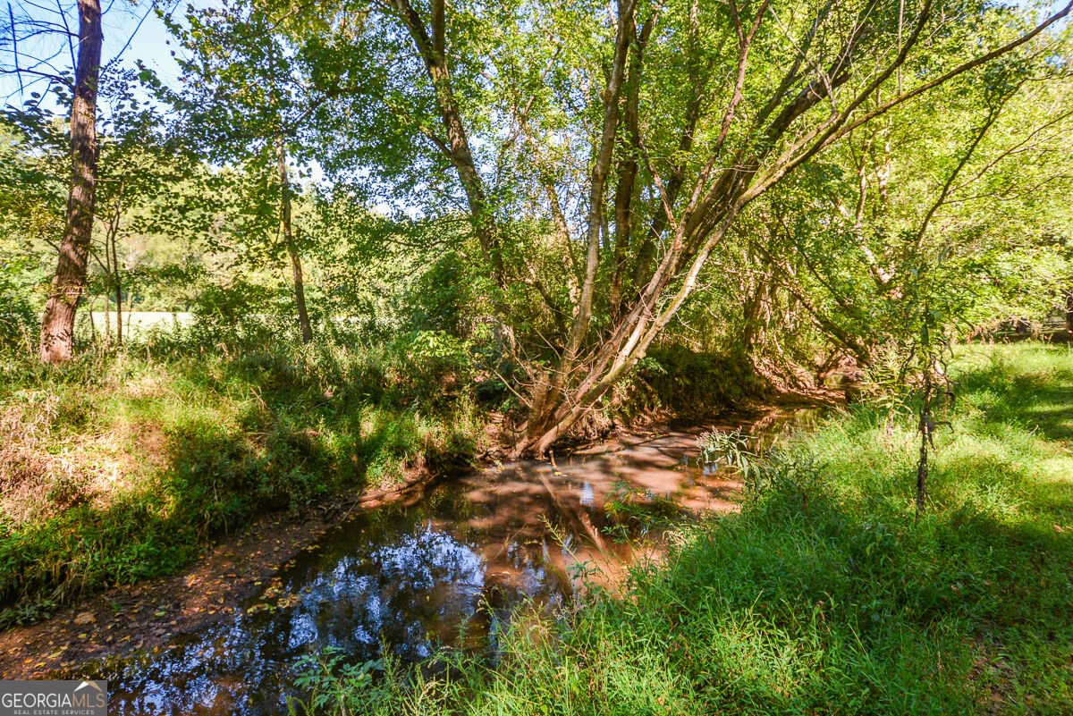 1015 Avery Creek Drive Woodstock - Photo 51