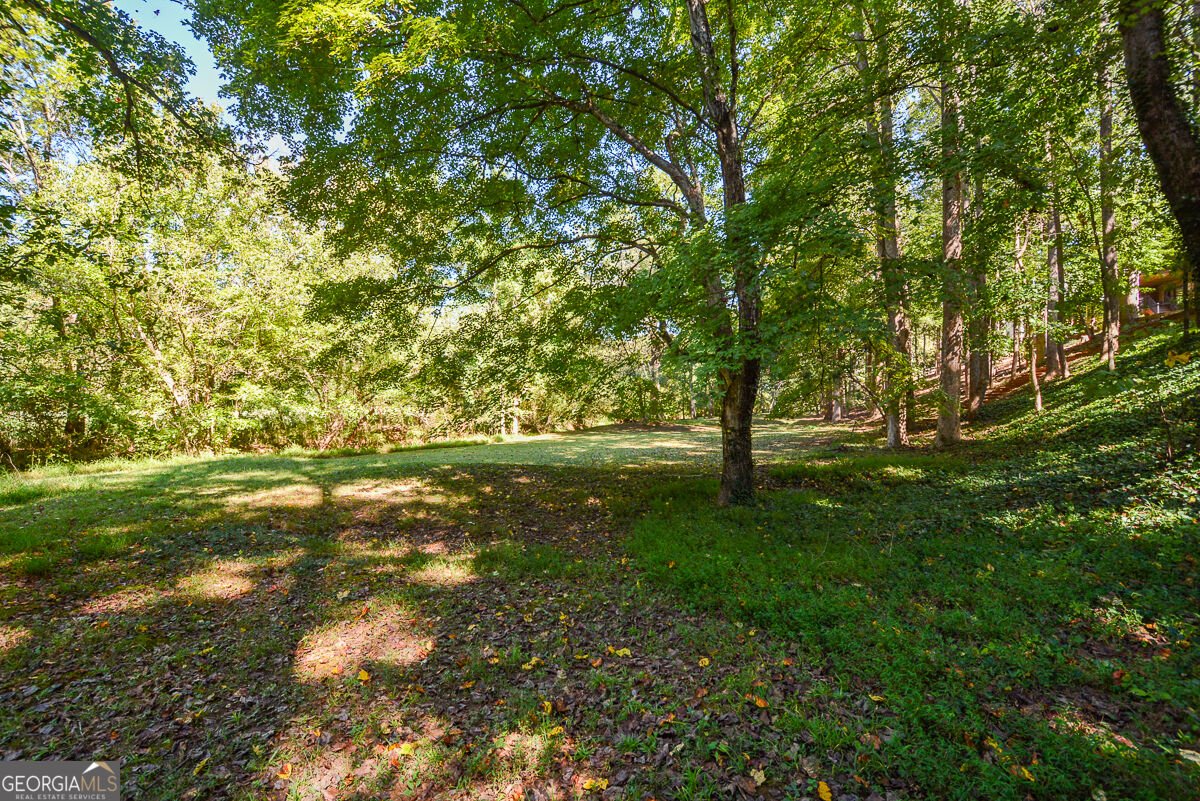 1015 Avery Creek Drive Woodstock - Photo 52