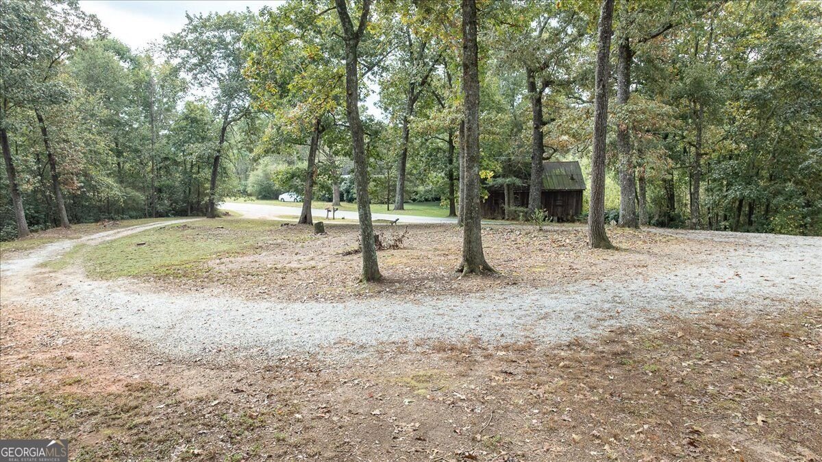 740 Jones Chapel Shiloh Road Danielsville - Photo 33