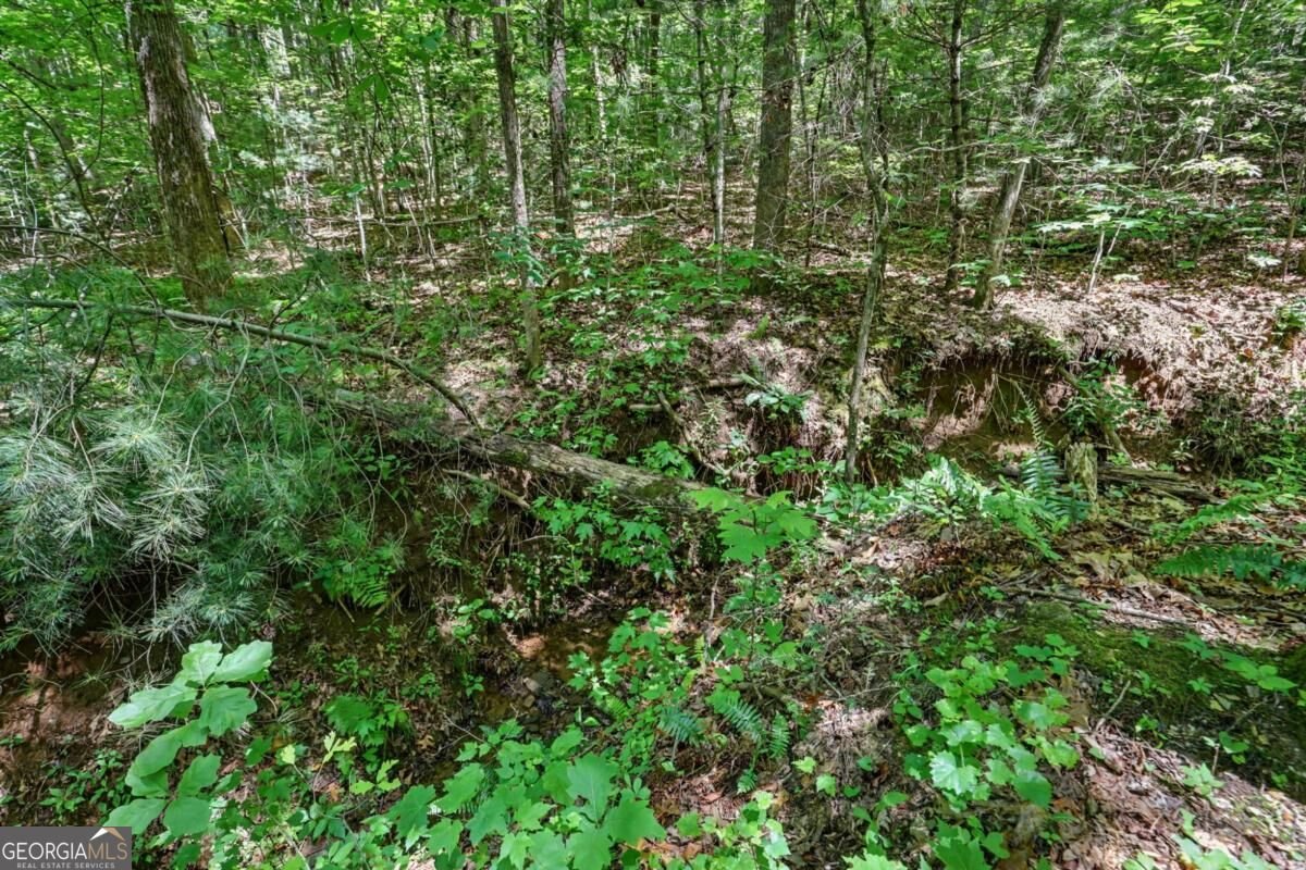 252 Navigator Lane Tiger - Photo 52