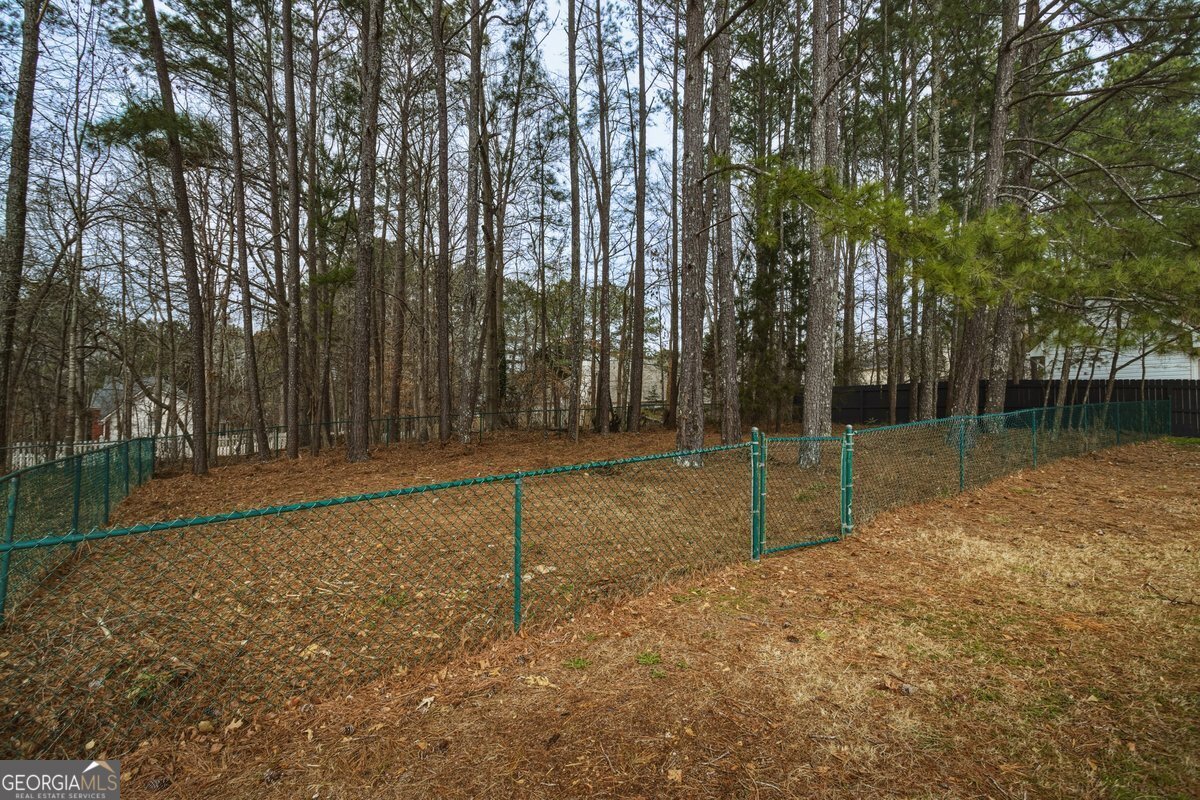 122 Shadow Lake Drive Conyers - Photo 14
