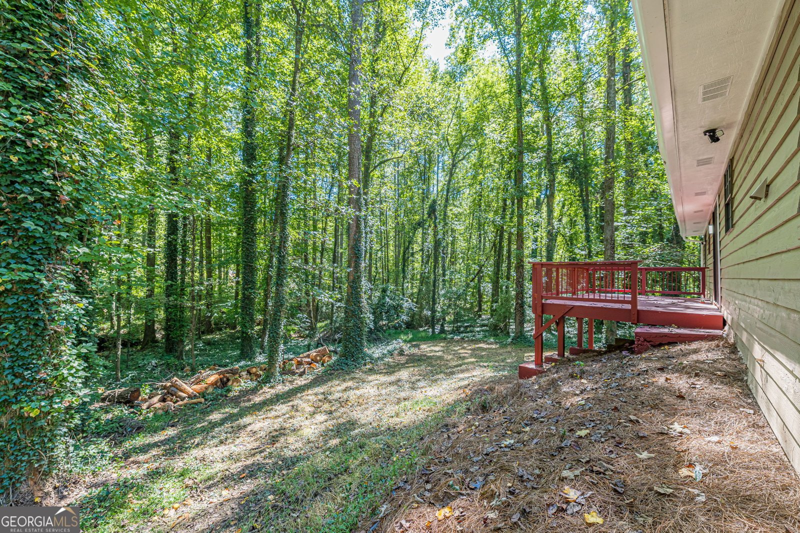 1686 Ember Way Snellville - Photo 46