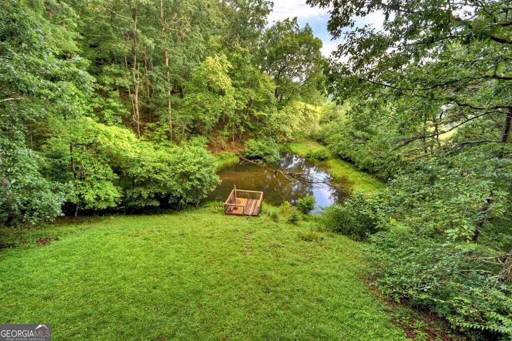 160 Mountain Field Drive Suches - Photo 48