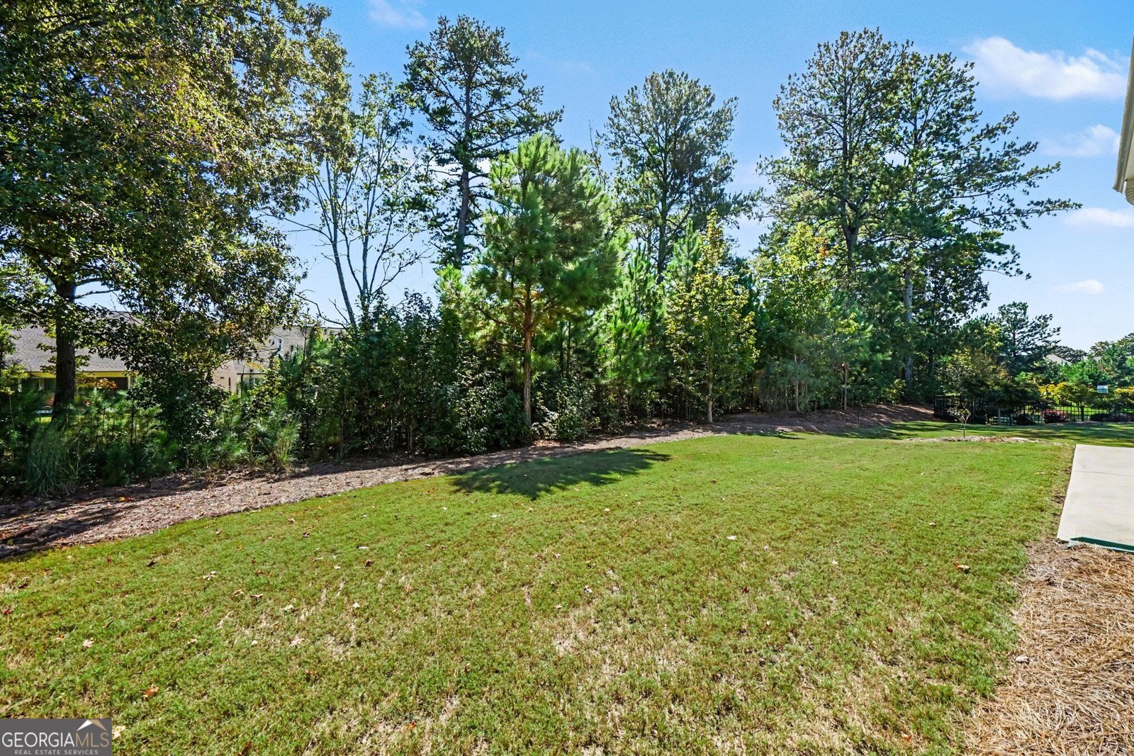 380 Falcon Way Hoschton - Photo 39
