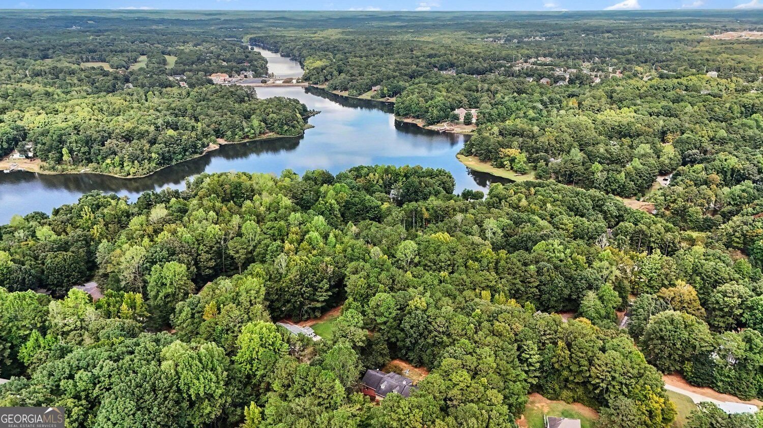 55 Southlake Lane McDonough - Photo 40