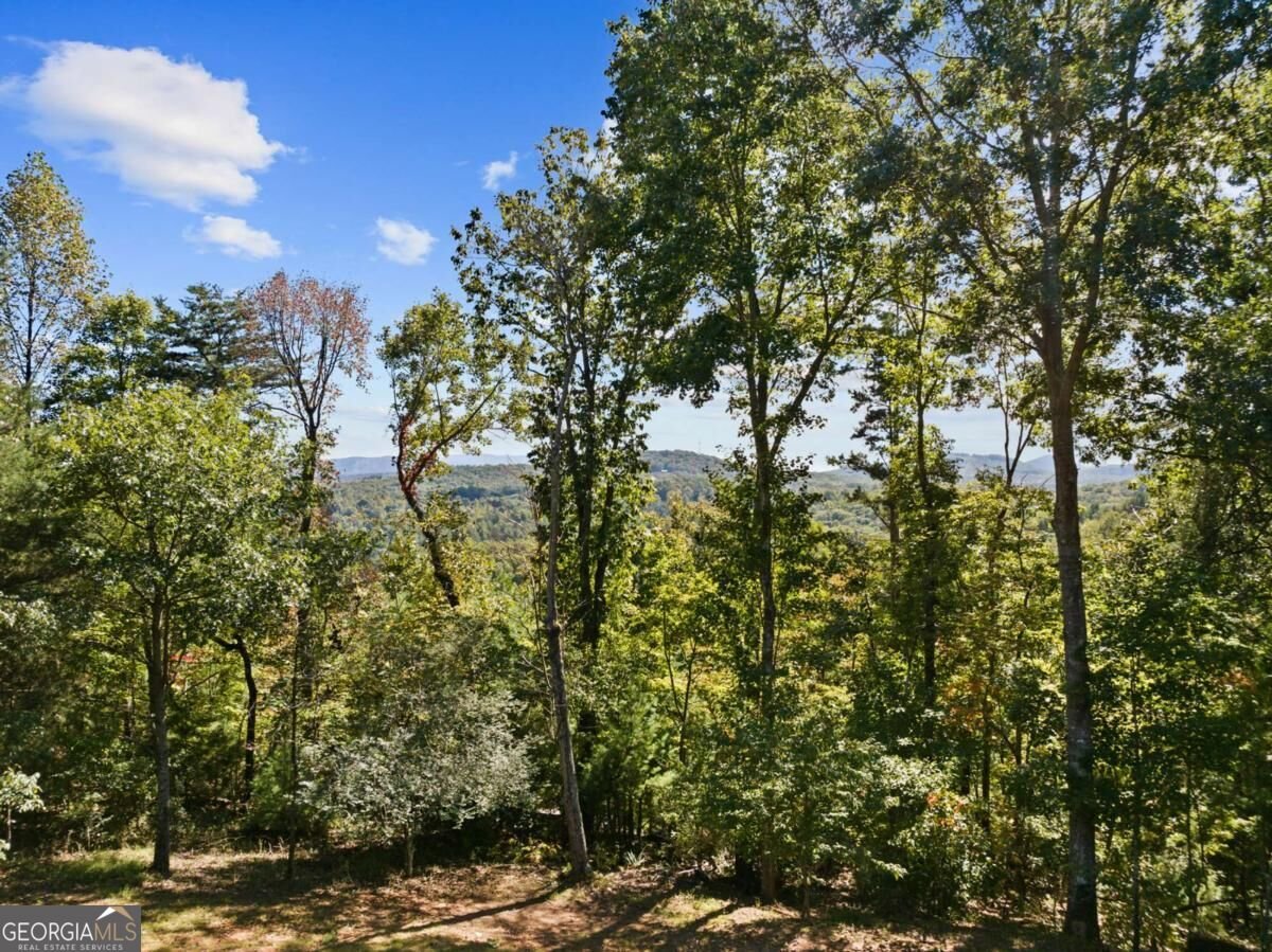 36 Deep Cove Road Blue Ridge - Photo 21