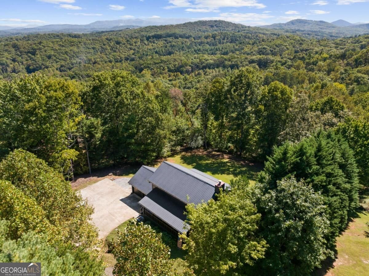 36 Deep Cove Road Blue Ridge - Photo 38