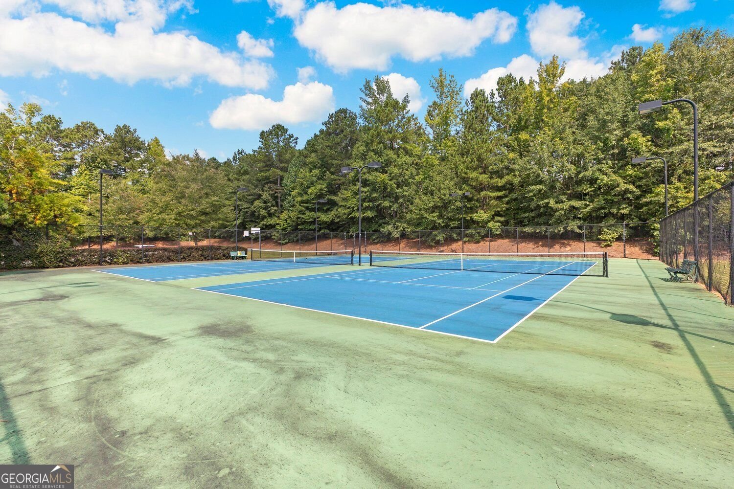 75 Mulberry Drive Senoia - Photo 36