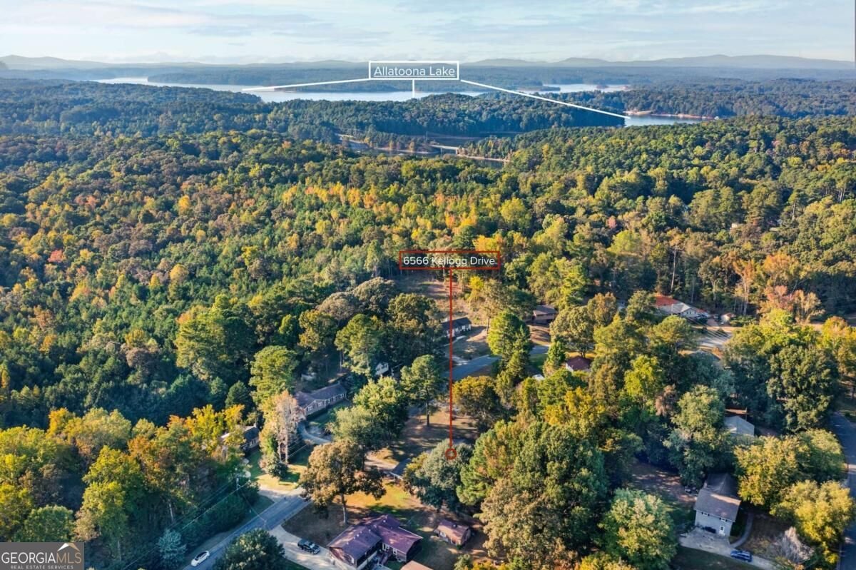 6566 Kellogg Drive Acworth - Photo 48