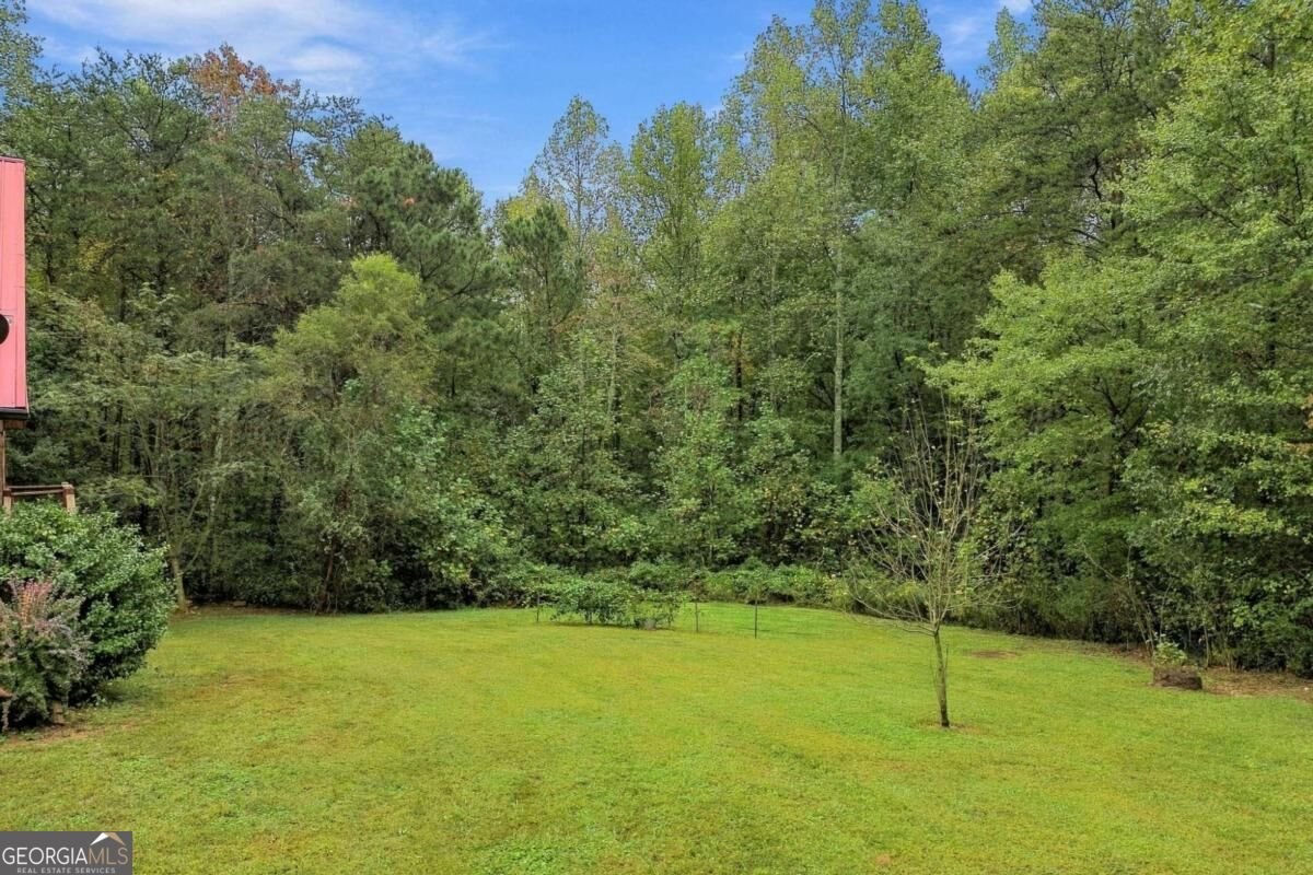 445 Browning Road Fairmount - Photo 41