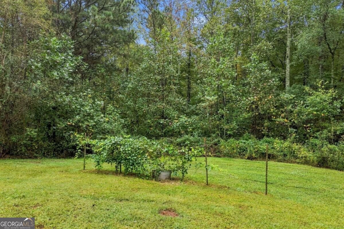445 Browning Road Fairmount - Photo 42