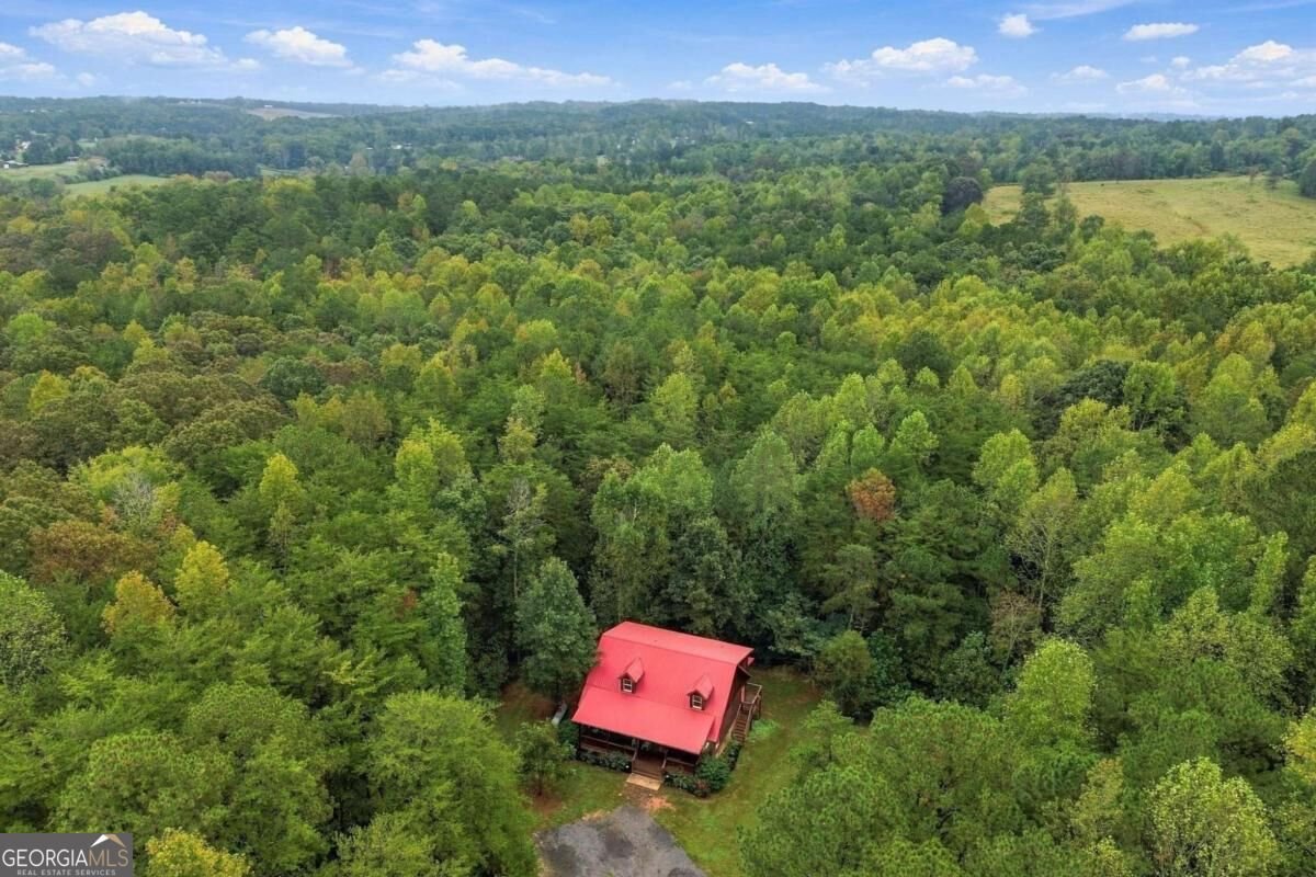 445 Browning Road Fairmount - Photo 48