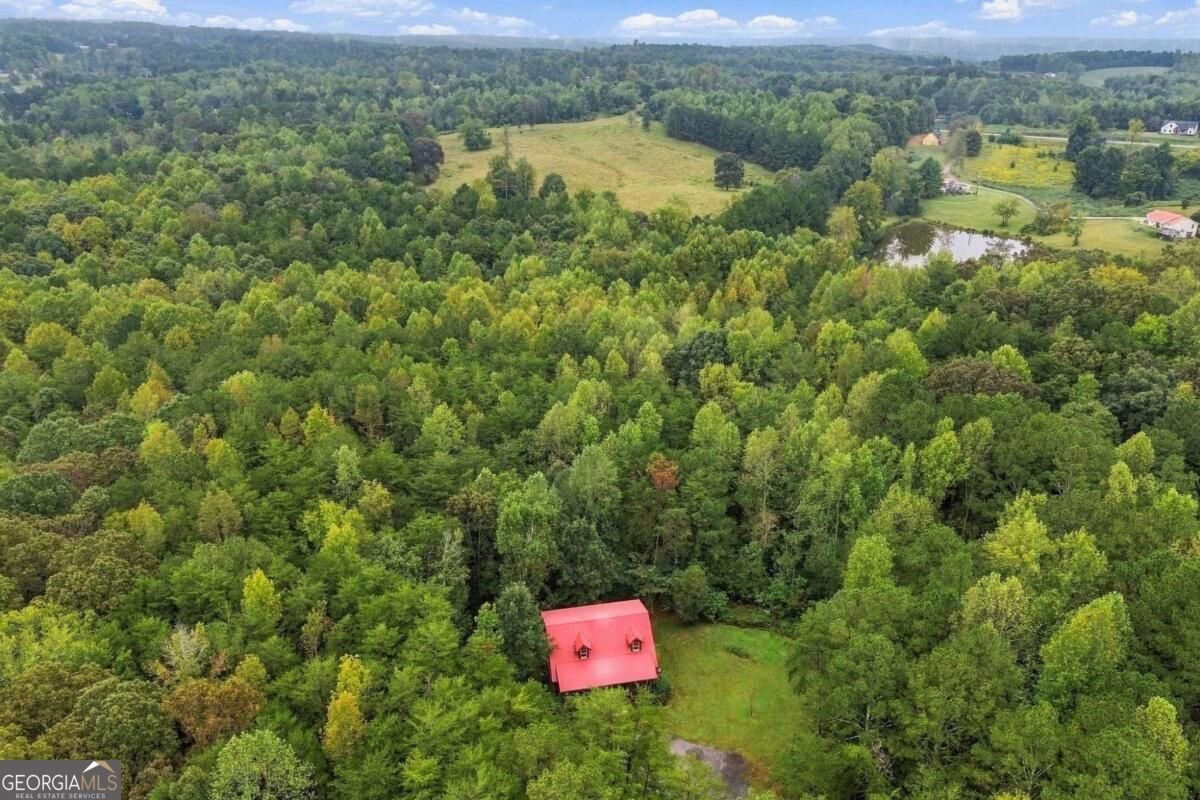 445 Browning Road Fairmount - Photo 49