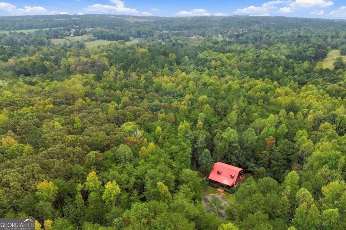 445 Browning Road Fairmount - Photo 50