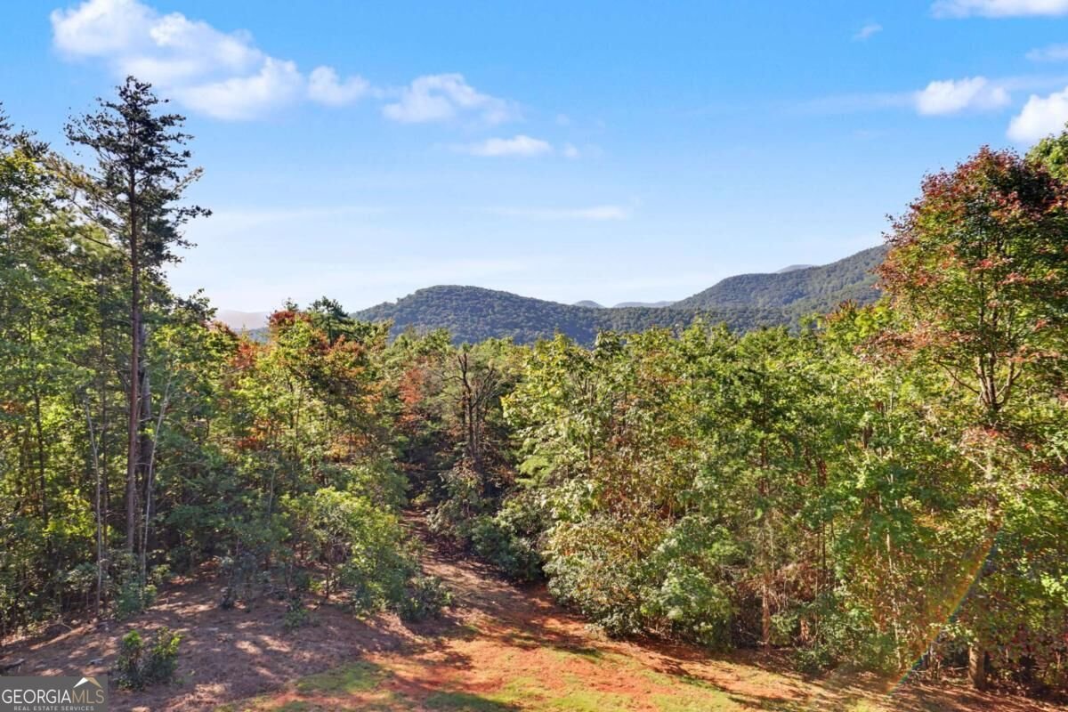 237 Flat Rock Ridge Road Blairsville - Photo 26