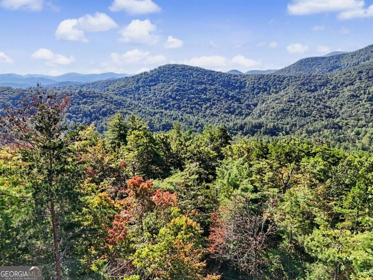 237 Flat Rock Ridge Road Blairsville - Photo 85