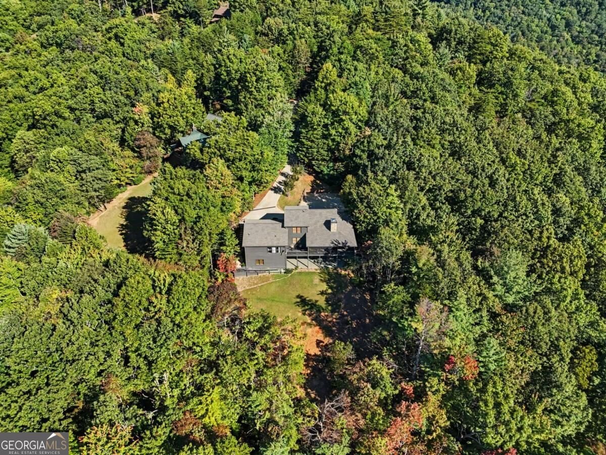 237 Flat Rock Ridge Road Blairsville - Photo 86