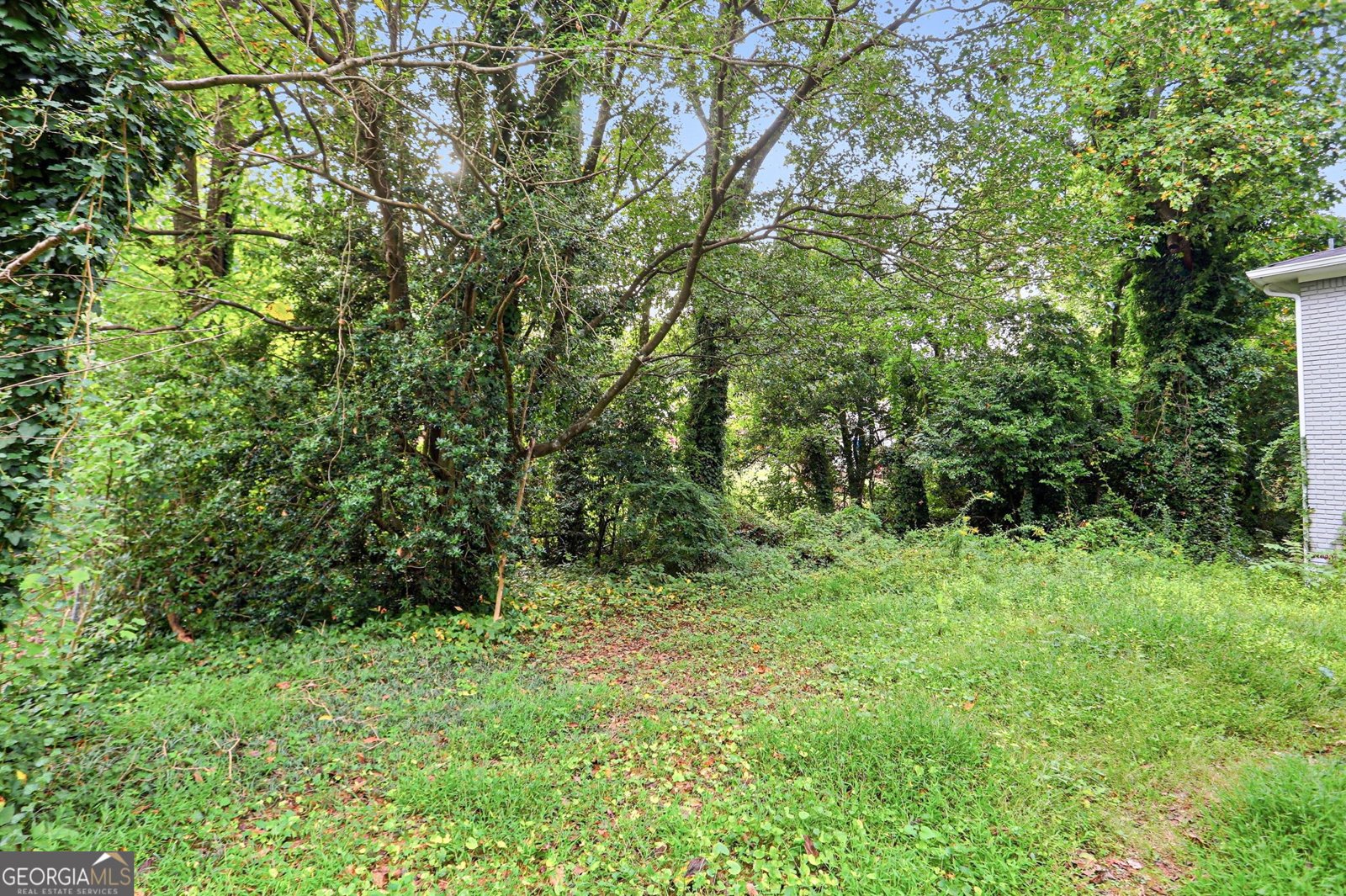 3640 Oregon Trail Decatur - Photo 40