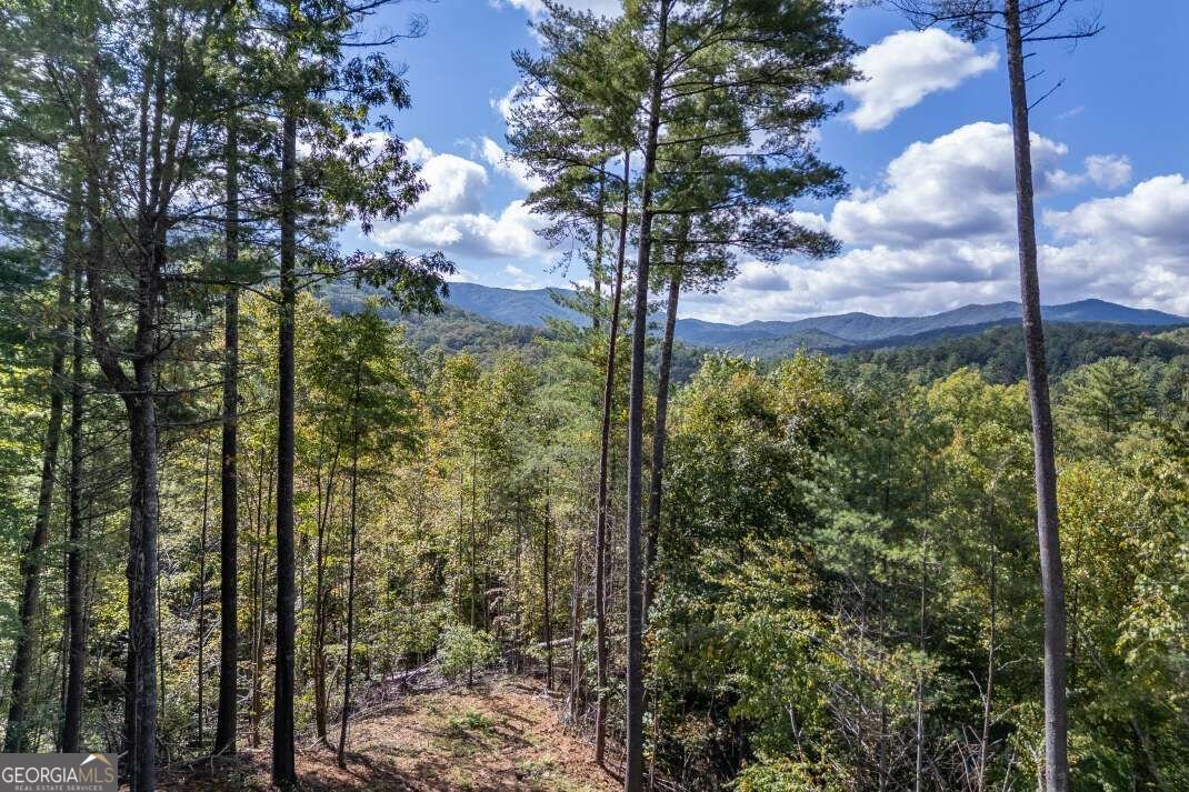 135 Morgan Trail Epworth - Photo 25