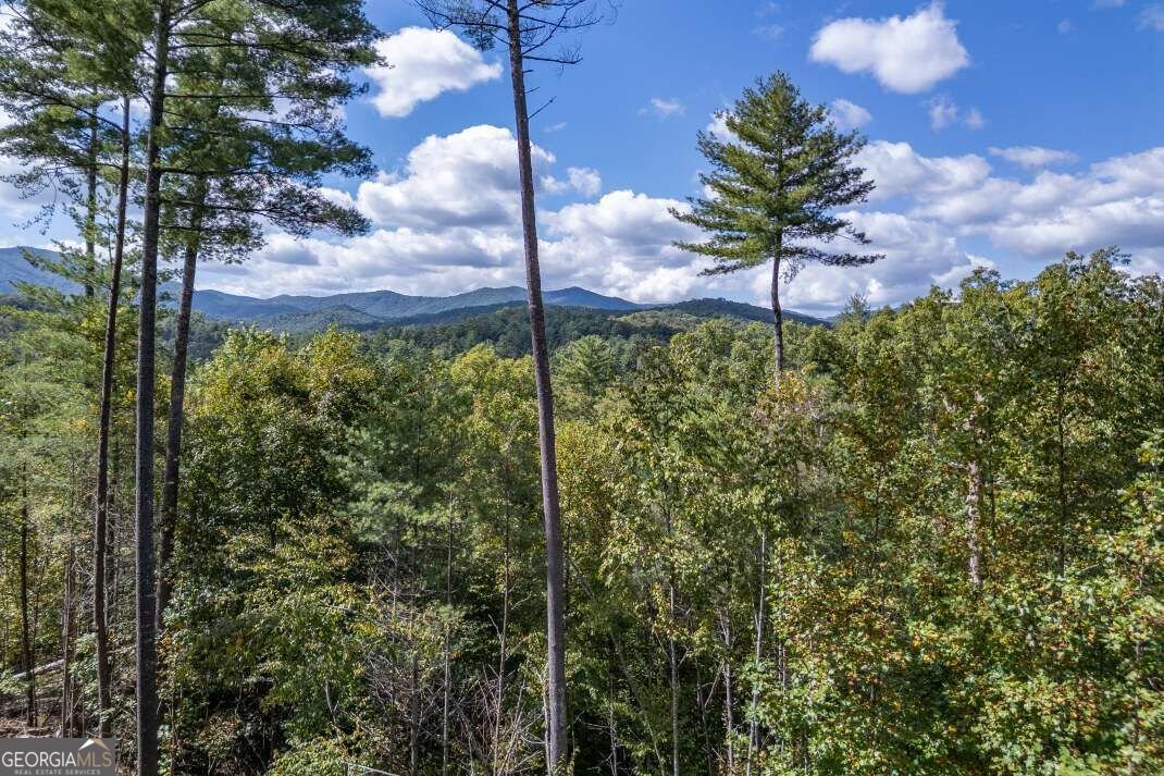 135 Morgan Trail Epworth - Photo 26