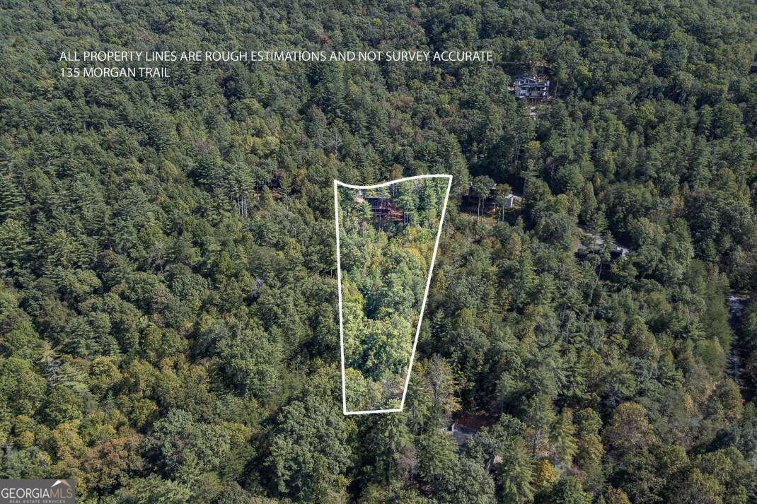 135 Morgan Trail Epworth - Photo 28