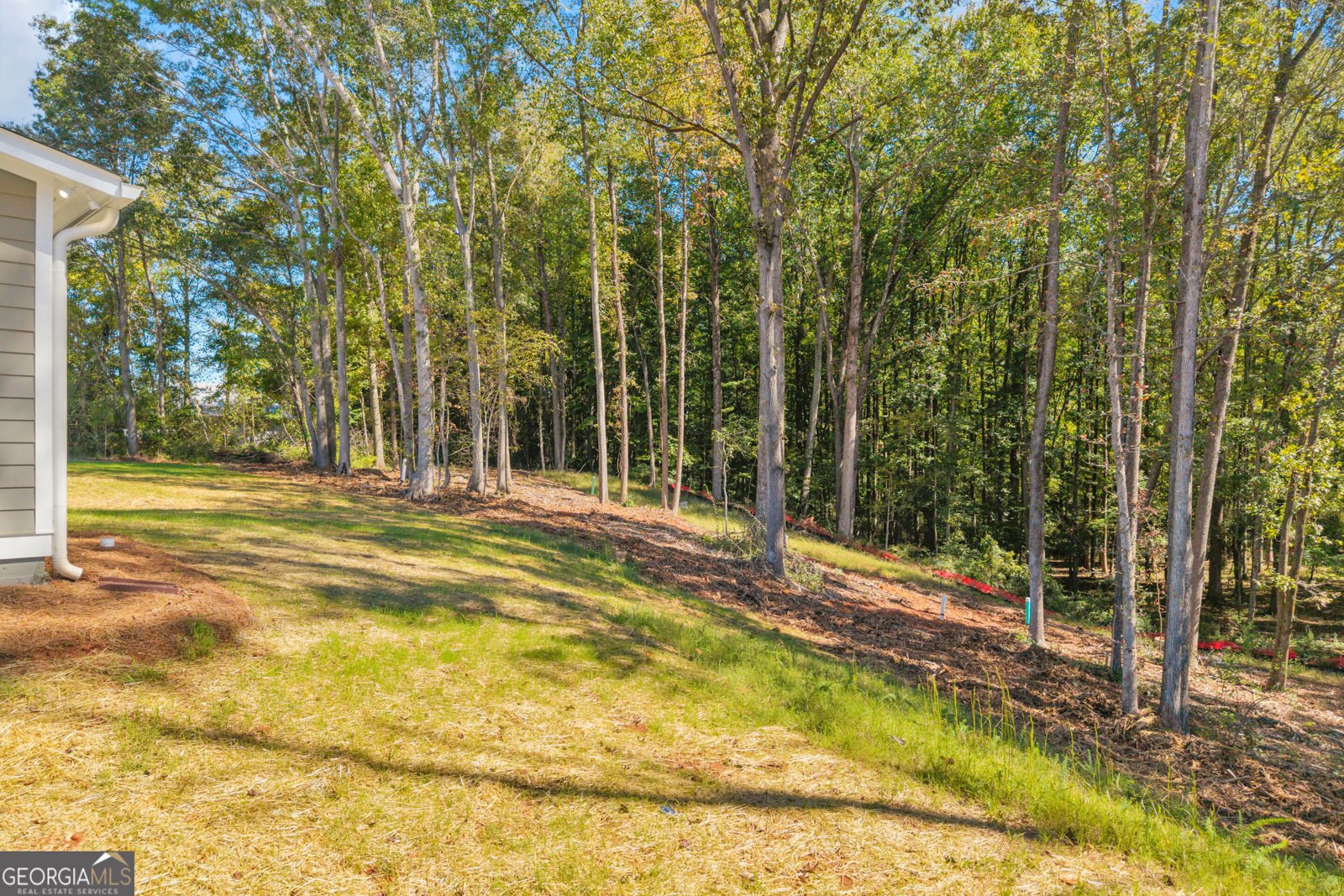 600 Hospital Road Commerce - Photo 60