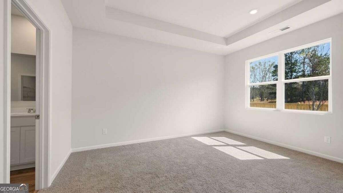 138 White Spruce Way Newnan - Photo 19