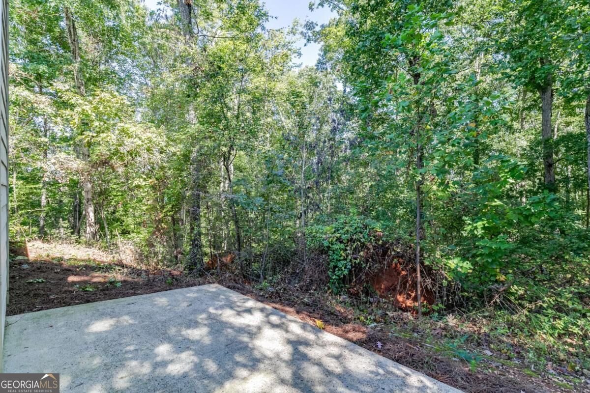 5387 Fawn Ivey Lane Buford - Photo 33