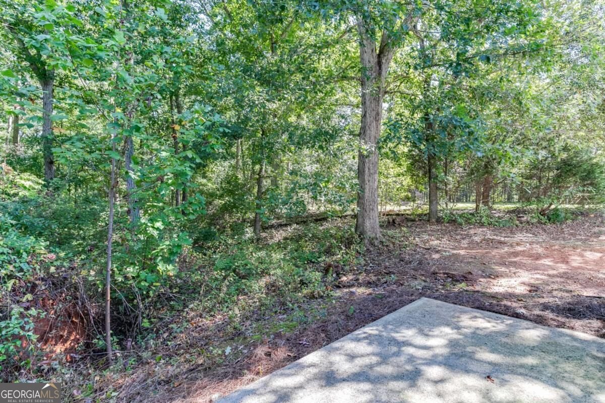 5387 Fawn Ivey Lane Buford - Photo 34