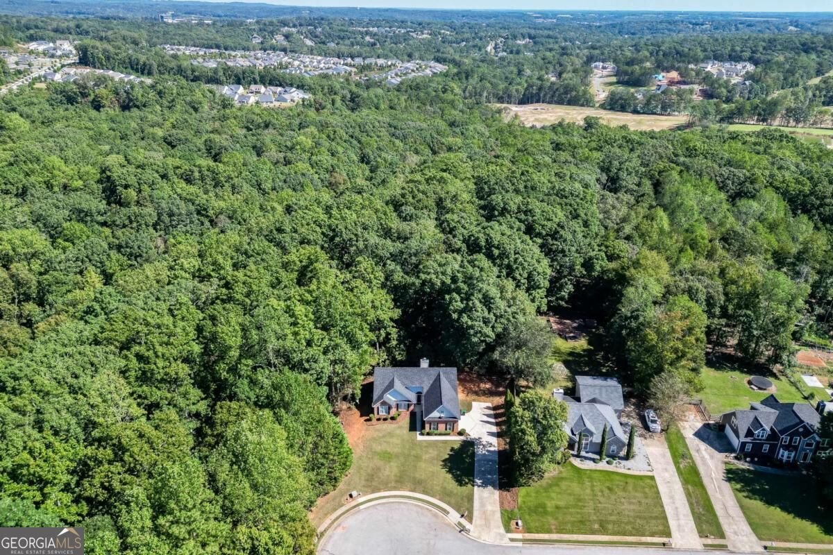 5387 Fawn Ivey Lane Buford - Photo 38