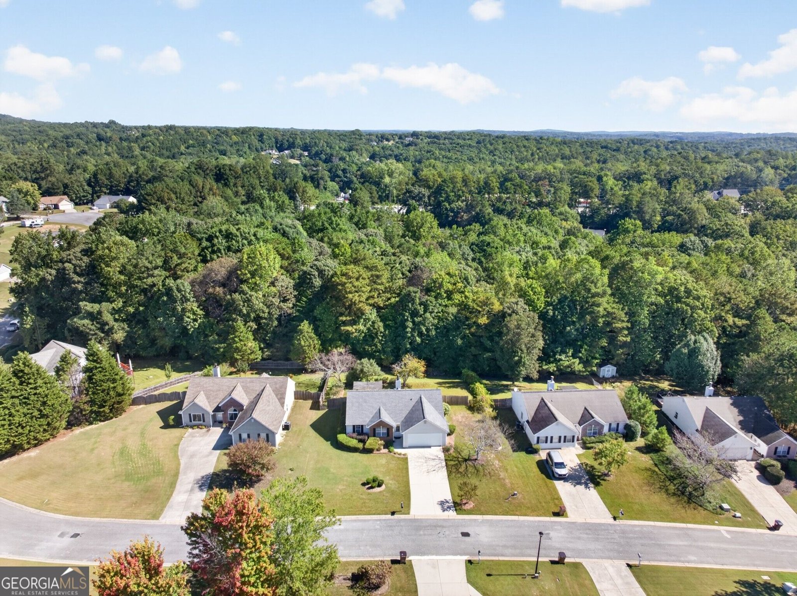6285 Huntcliff Drive Flowery Branch - Photo 46