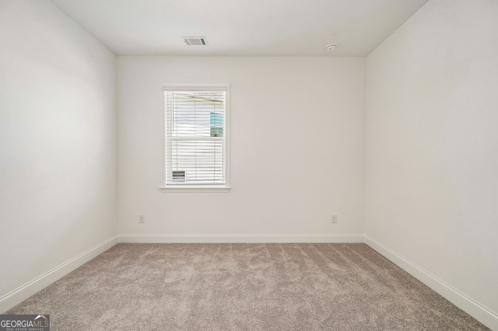 163 Sheryl Way Loganville - Photo 28