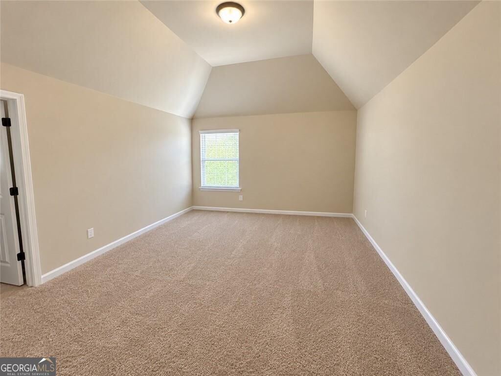 682 Mallard Cove Loganville - Photo 18