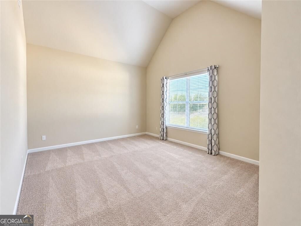 682 Mallard Cove Loganville - Photo 20