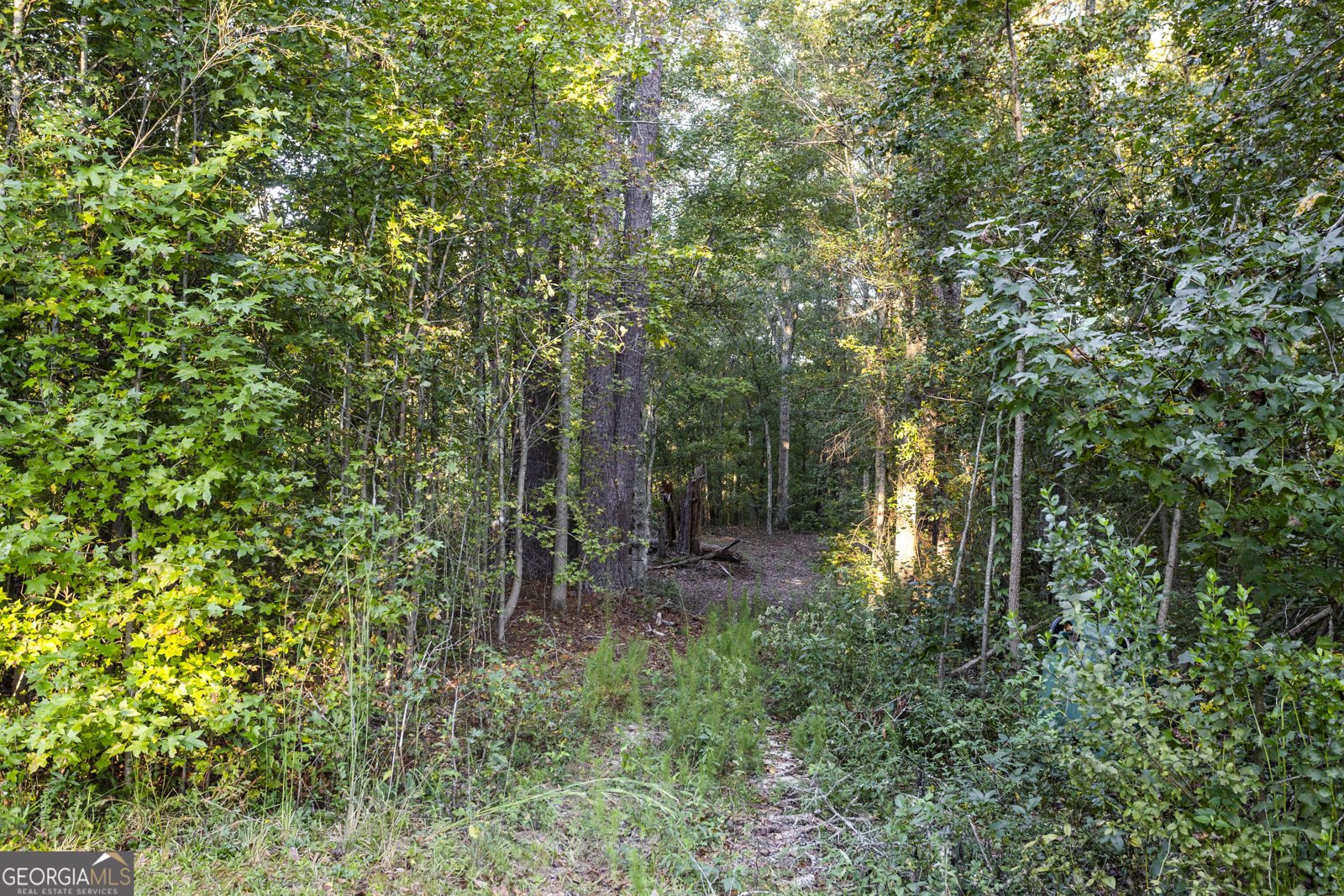 217 Forrester Cemetery Road Covington - Photo 35